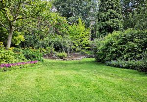 Optimiser l'expérience du jardin à Romenay